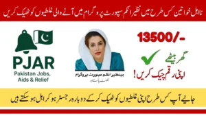 How to Fix Errors and Resubmit BISP Application 2025