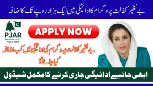 Benazir Kafalat 13500 Payment 2025: Schedule & Payment Methods Explained