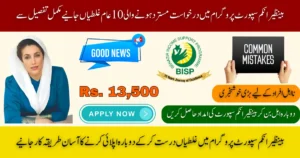 Top 10 BISP Application Mistakes That Can Reject Your Registration Fix Now