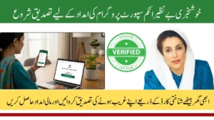 BISP Payment Phase 2 Verification October 2025 Easy Method