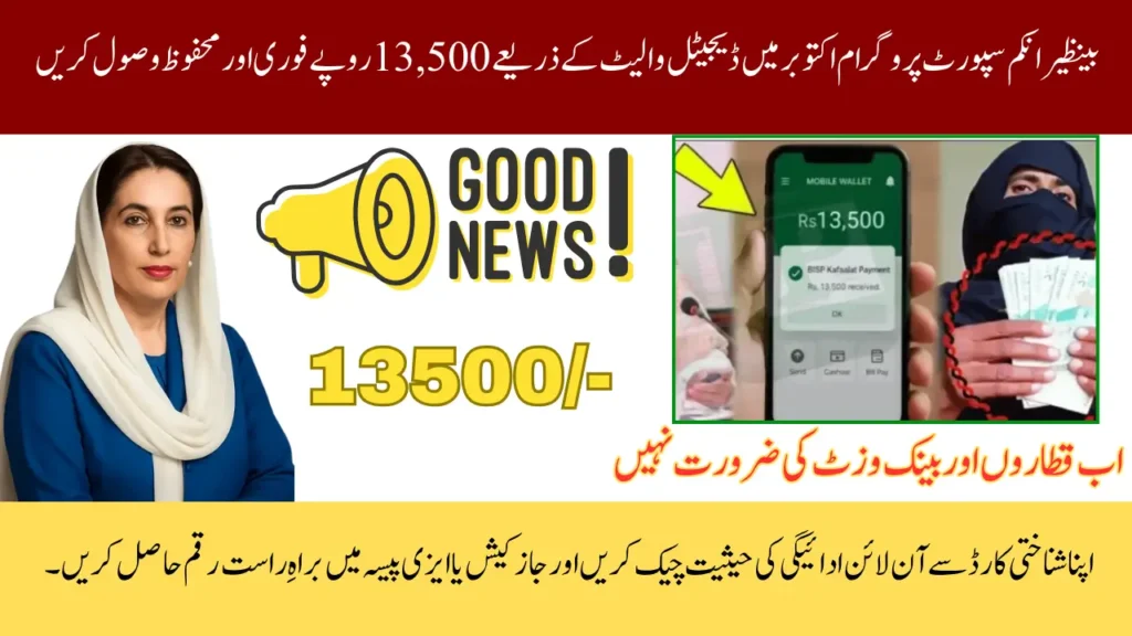 BISP 8171 Payments Now Live via Digital Wallet: District-Wise Guide 2025